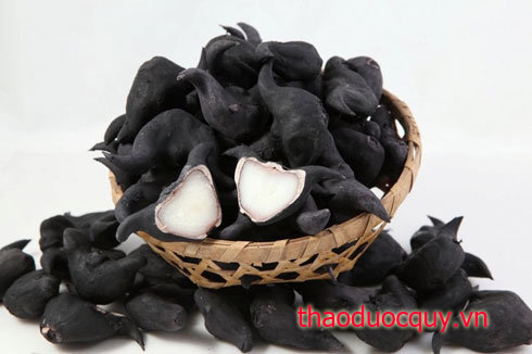 Củ Ấu