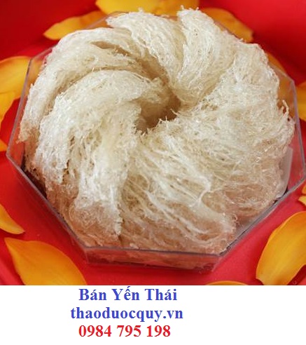 Yến Thái