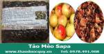 Nguyên nhân và Bài thuốc trị gan nhiễm mỡ