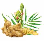Các món ăn giữ ấm cơ thể tránh cảm lạnh trong mùa đông