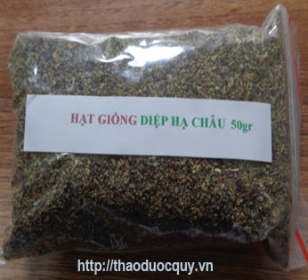 hạt diệp hạ châu