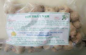 Củ tam thất nam