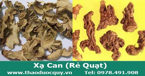 xạ can còn được gọi là rẻ quạt